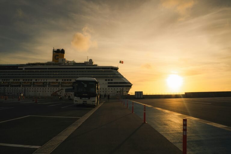 Cruise ship docked at port during a cruise port day